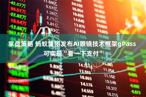 掌盘策略 蚂蚁集团发布AI眼镜技术框架gPass 可实现“看一下支付”