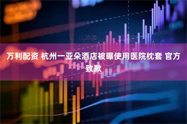 万利配资 杭州一亚朵酒店被曝使用医院枕套 官方致歉