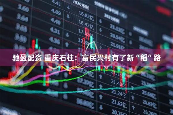 驰盈配资 重庆石柱：富民兴村有了新“稻”路