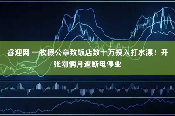 睿迎网 一枚假公章致饭店数十万投入打水漂！开张刚俩月遭断电停业