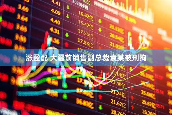 涨盈配 大疆前销售副总裁袁某被刑拘