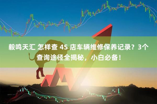 毅鸣天汇 怎样查 4S 店车辆维修保养记录？3个查询途径全揭秘，小白必备！