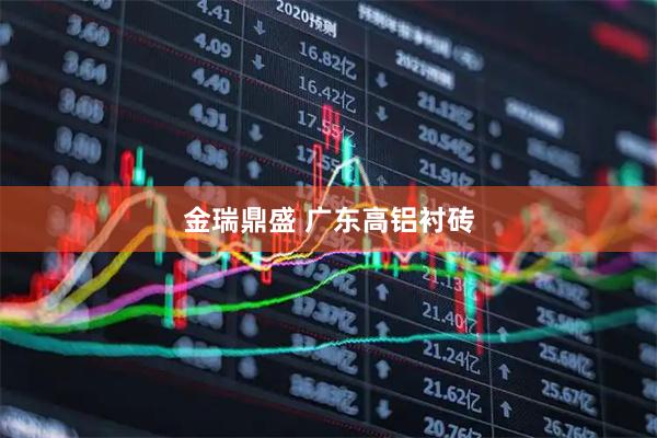 金瑞鼎盛 广东高铝衬砖